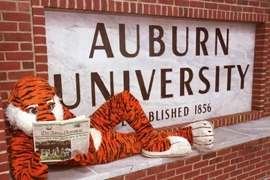 Auburn Backgrounds   Wallpapers Zone