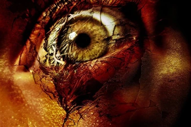 Nra Magazine: The Fabulous Wallpapers In 2012