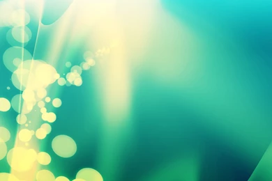 Green Colour Wallpapers   Wallpapers HD Fine