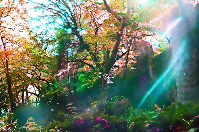 Wallpapers Fairy Tale Free Screensavers 1024x768