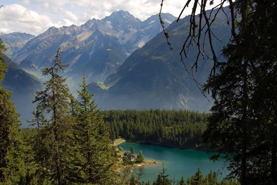 Brave Wallpapers Free Downloads