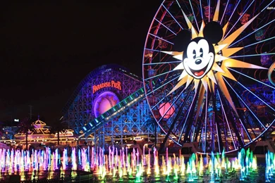 Disney World Picture And Photo 20