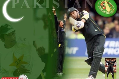 Wallpapers   Loin Shahid Afridi