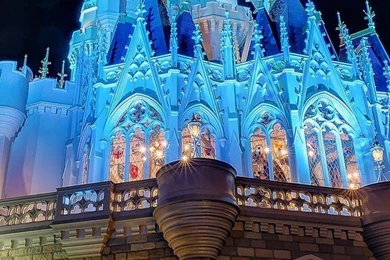 Disney World Disney Castle At Night Castle Disneyland HD ...