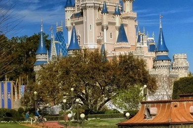 DISNEY WORLD WALLPAPERS FOR IPHONE 6 PLUS KJW001