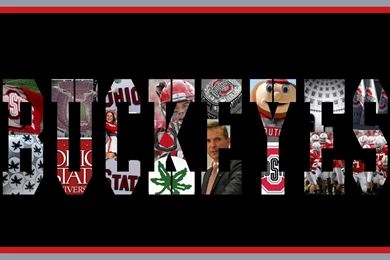 OSU Wallpapers 167   Ohio State Football Wallpapers (29089572 ...