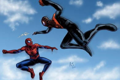 Download Spider Man Superheroes Wallpapers 1280x931