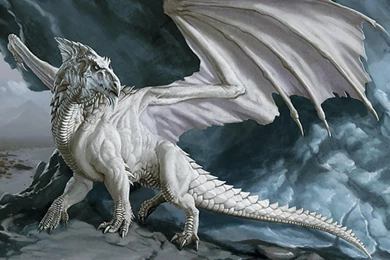 Dragon Blanco Arte Fantasia Wallpapers