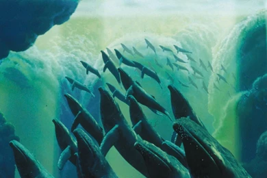 Fantasia 2000 Fantasia/2000 Film Movies