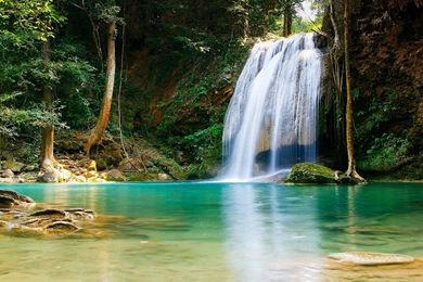 Nature Backgrounds Free Download