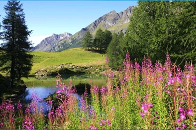 Best Nature Backgrounds   Android Apps On Google Play