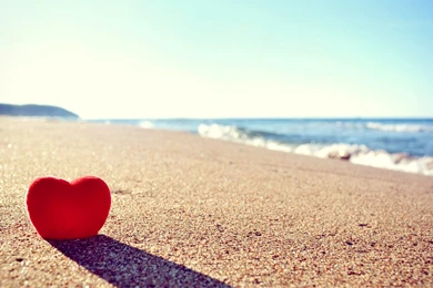 Love And Heart Wallpapers