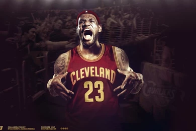 Lebron James Cavs Posterize