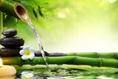 3 HOURS Relaxing Music: Yoga & Meditation   Backgrounds Music For ...