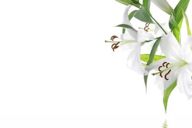 Spa Backgrounds Related Keywords & Suggestions   Spa Backgrounds ...