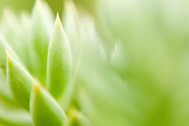 Skincare By Dusty » Products