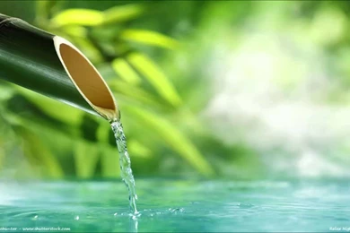 Relaxing Music For Yoga,Spa,Sleep,Reiki, Tai Chi And Qi Qong ...