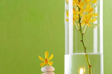 Spa Concepts With Green Backgrounds Photograph By Atiketta Sangasaeng