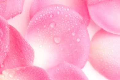 Alta Vita Spa   Alta Vita   The Lifestyle SpaAlta Vita Spa