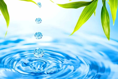 Playa Jaco, Massage Salon Spa, Relaxation, Beauty Salon