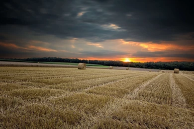Desktop Widescreen Sunset On Grass Farm HD Photo – Widescreen ...
