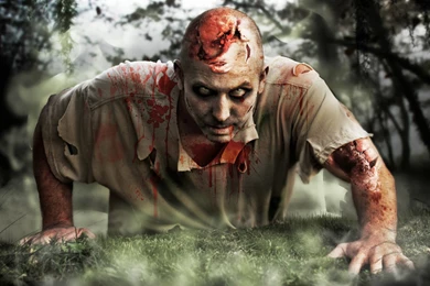 FREE HD PHOTO GALLERY: Download Free HD Horror Wallpapers