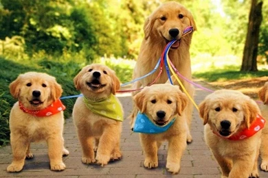 960x800 Hot Wallpapers For Phone Download   5   960x800   Hot ...