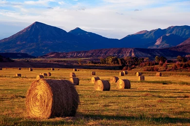 Free Wallpapers Farm Scenery In HD   Zibrato