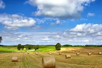 Summer Farm Desktop Wallpapers Nature