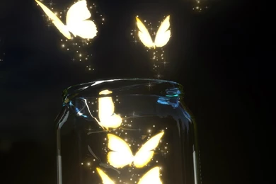 Free iPhone Wallpapers $919