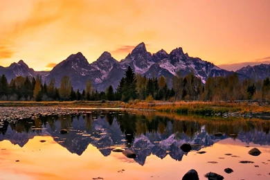 Free iPhone Wallpapers $919