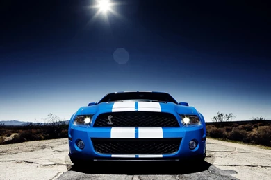 Ford Mustang Shelby Gt500, Cars, 2560x1440 HD Wallpapers And FREE ...
