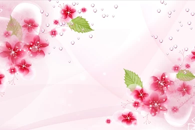 Rose Flower Wallpapers