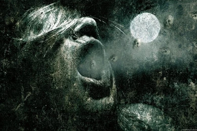 Horror Wallpaper, HD, Art Wallpaper, Desktop Wallpapers, 1680X1050 ...