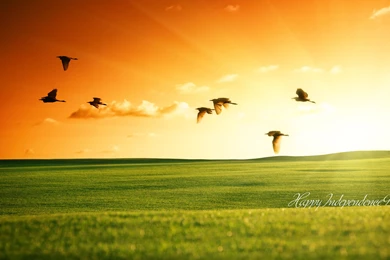 Indian Flags Wallpapers Collection (35+)