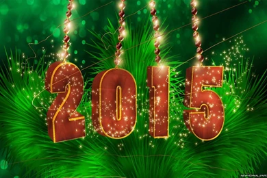 Happy New Year 2015 Wallpapers – How To Lose Weight For Women