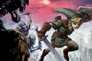 Wallpapers The Legend Of Zelda Twilight Princess 03 1920×1200 ...