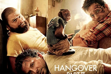 Wallpapers Tagged With HANGOVER