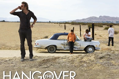 The Hangover Wallpapers   3