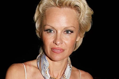 Pictures Of Pamela Anderson   Pictures Of Celebrities