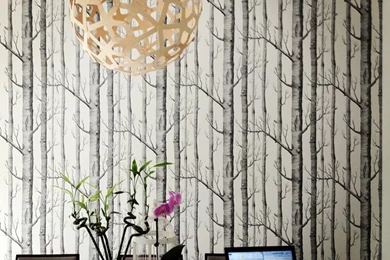 Cole And Son Woods   Wallpapers Installation Sydney