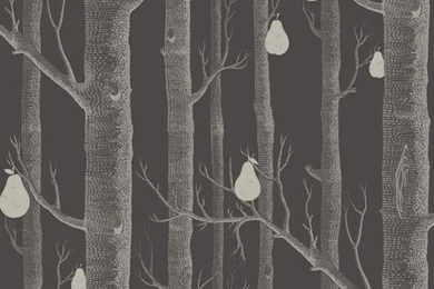 Cole & Son   Contemporary Restyled   Cole & Son Woods & Pears (95 ...