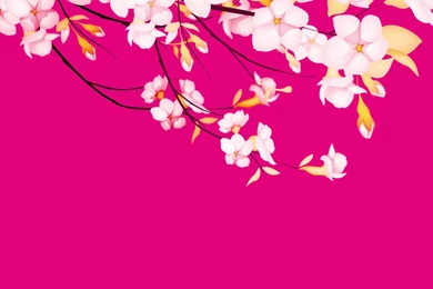 Flowers Ppt Backgrounds Pink Elegant Flowers Ppt Backgrounds Pink ...