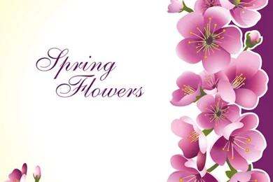 Dark Pink Flower Spring Backgrounds Set Vector 02   Vector ...