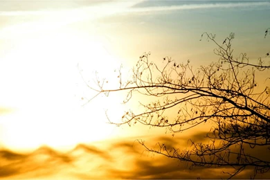 Special Edition Twilight Landscape Wallpapers 8 － Landscape ...