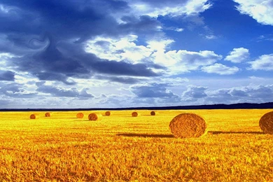 Minimalist, Nature, Background, Wallpaper, Photography (