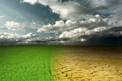 2015 Vinyl 1x1.5m Thin Outdoors Photography Backgrounds Open Field ...