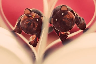 Wallpapers Iphone Hate Love Download