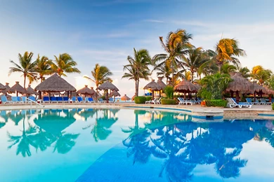 Landscape, Resort, Pool, Coconuts Tree, Reflection, Picture, Wallpapers