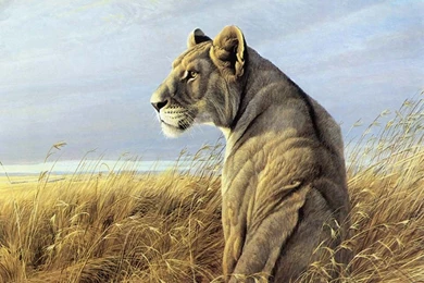 960x800 Popular Mobile Wallpapers Free Download (171)   960x800 ...